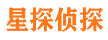 西充私家侦探公司